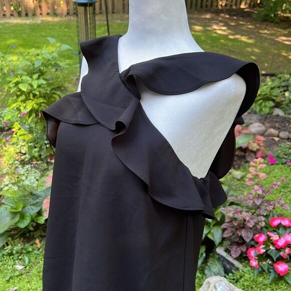 Banana Republic Black Criss Cross Ruffle Sleeveless Blouse Women’s Size Small - Picture 4 of 14